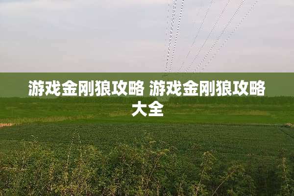 游戏金刚狼攻略 游戏金刚狼攻略大全
