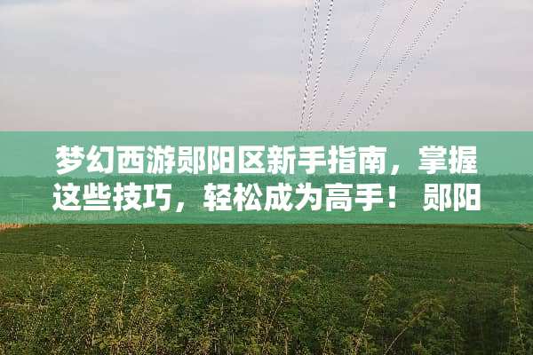 梦幻西游郧阳区新手指南，掌握这些技巧，轻松成为高手！ 郧阳区梦幻西游攻略游戏