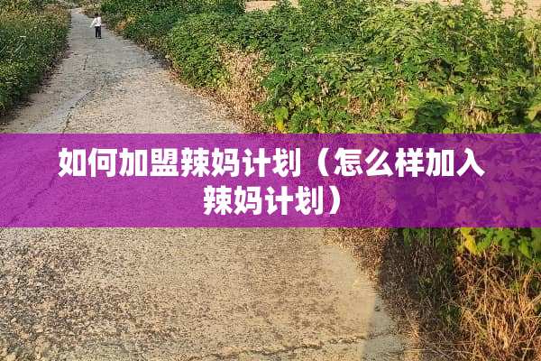 如何加盟辣妈计划（怎么样加入辣妈计划）