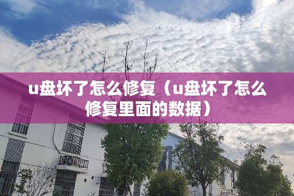 u盘坏了怎么修复（u盘坏了怎么修复里面的数据）