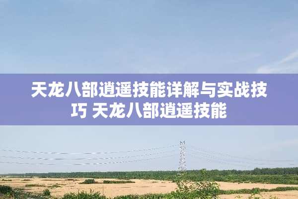 天龙八部逍遥技能详解与实战技巧 天龙八部逍遥技能
