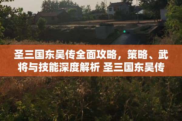 圣三国东吴传全面攻略，策略、武将与技能深度解析 圣三国东吴传攻略