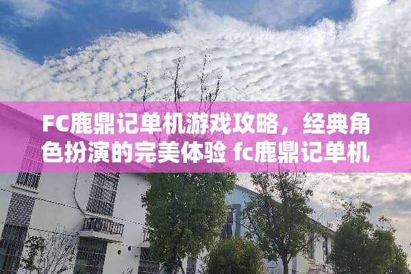FC鹿鼎记单机游戏攻略，经典角色扮演的完美体验 fc鹿鼎记单机游戏攻略