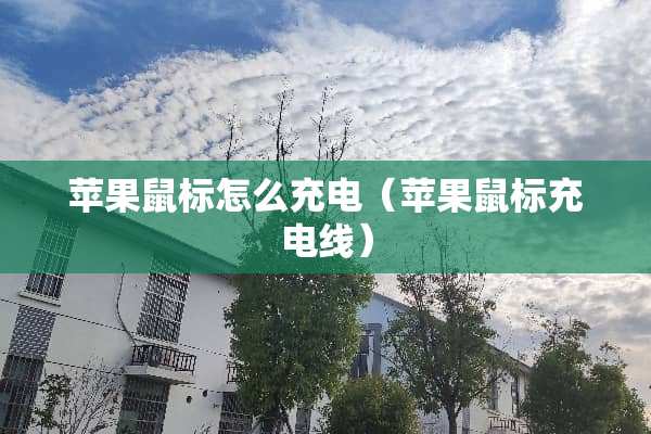 苹果鼠标怎么充电（苹果鼠标充电线）