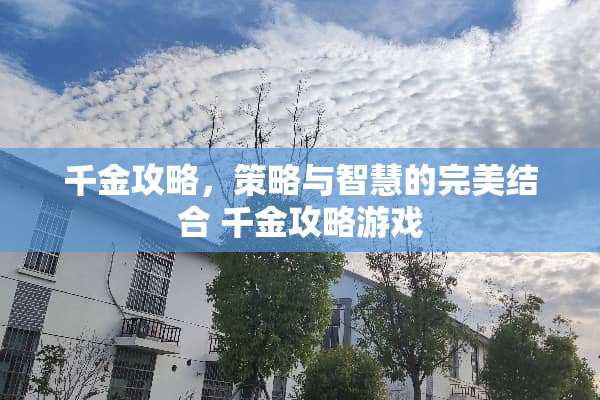 千金攻略，策略与智慧的完美结合 千金攻略游戏