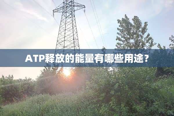 ATP释放的能量有哪些用途？