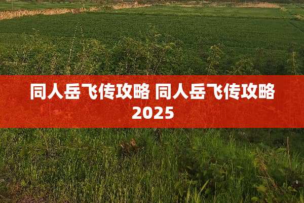 同人岳飞传攻略 同人岳飞传攻略2025