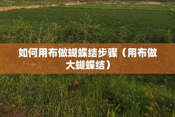 如何用布做蝴蝶结步骤（用布做大蝴蝶结）