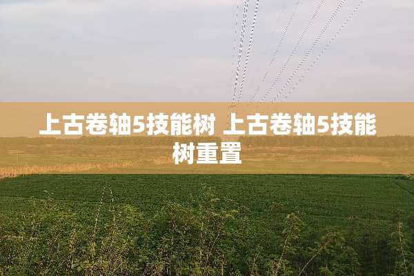 上古卷轴5技能树 上古卷轴5技能树重置