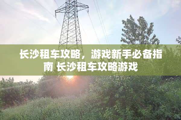 长沙租车攻略，游戏新手必备指南 长沙租车攻略游戏
