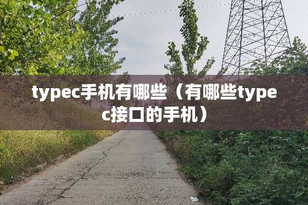 typec手机有哪些（有哪些typec接口的手机）