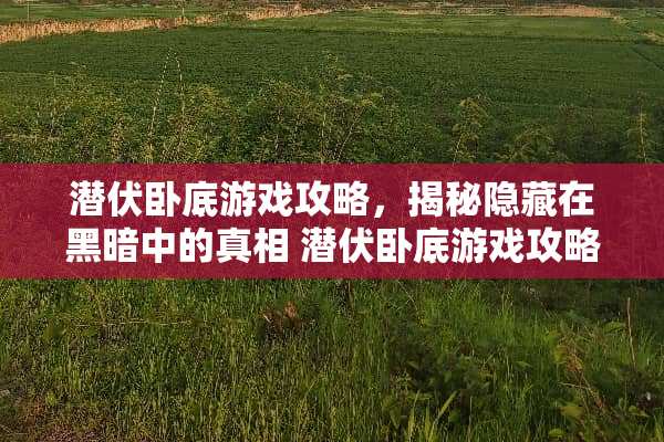 潜伏**游戏攻略，揭秘隐藏在黑暗中的** 潜伏**游戏攻略
