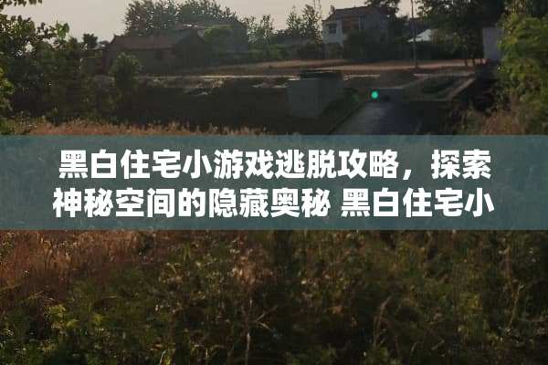 黑白住宅小游戏逃脱攻略，探索神秘空间的隐藏奥秘 黑白住宅小游戏逃脱攻略