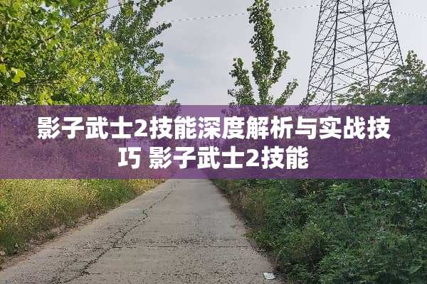 影子武士2技能深度解析与实战技巧 影子武士2技能