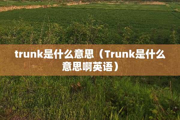 trunk是什么意思（Trunk是什么意思啊英语）