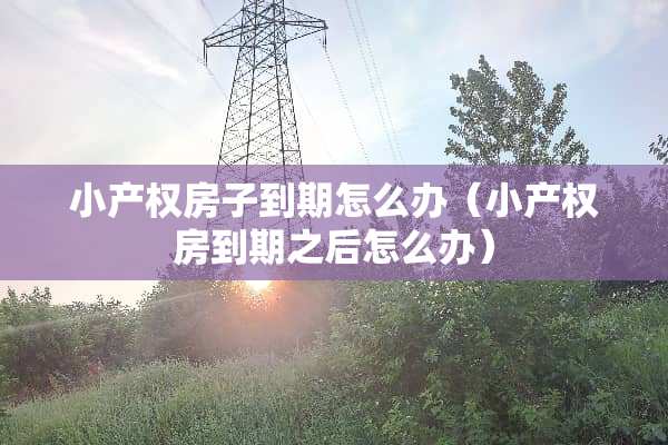 小产权房子到期怎么办（小产权房到期之后怎么办）