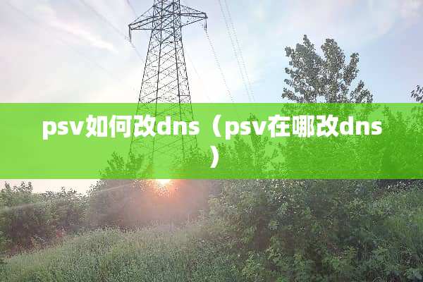 psv如何改dns（psv在哪改dns）