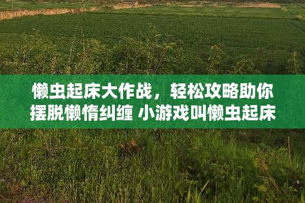 懒虫起床大作战，轻松攻略助你摆脱懒惰纠缠 小游戏叫懒虫起床攻略