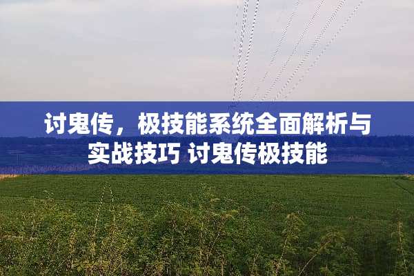 讨鬼传，极技能系统全面解析与实战技巧 讨鬼传极技能