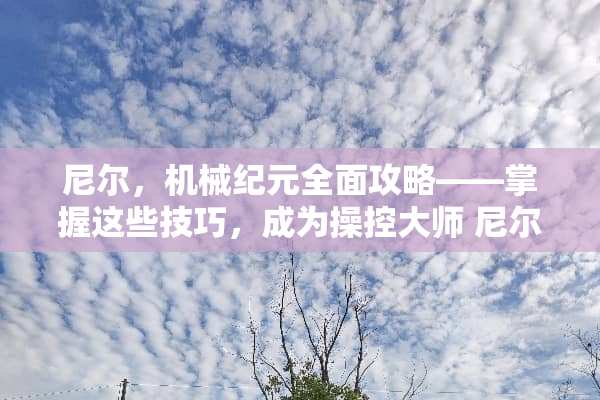 尼尔，机械纪元全面攻略——掌握这些技巧，成为操控大师 尼尔机械纪元攻略