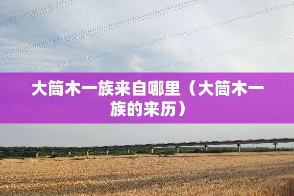 大筒木一族来自哪里（大筒木一族的来历）