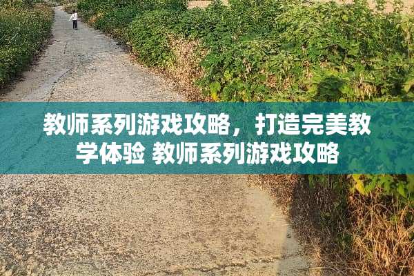 教师系列游戏攻略，打造完美教学体验 教师系列游戏攻略