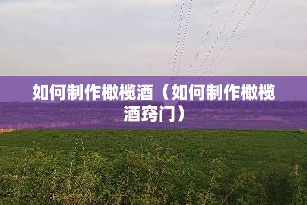 如何制作橄榄酒（如何制作橄榄酒窍门）