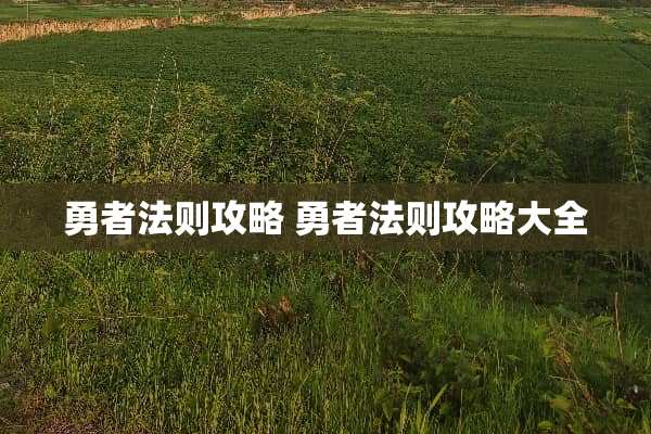 勇者法则攻略 勇者法则攻略大全