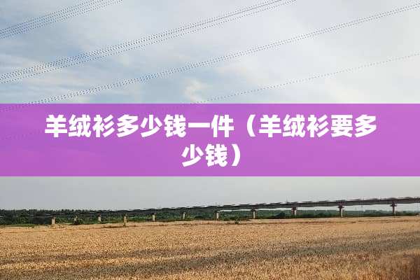 羊绒衫多少钱一件（羊绒衫要多少钱）