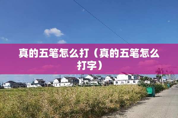 真的五笔怎么打（真的五笔怎么打字）