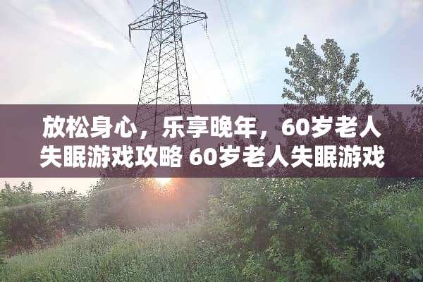 放松身心，乐享晚年，60岁老人失眠游戏攻略 60岁老人失眠游戏攻略