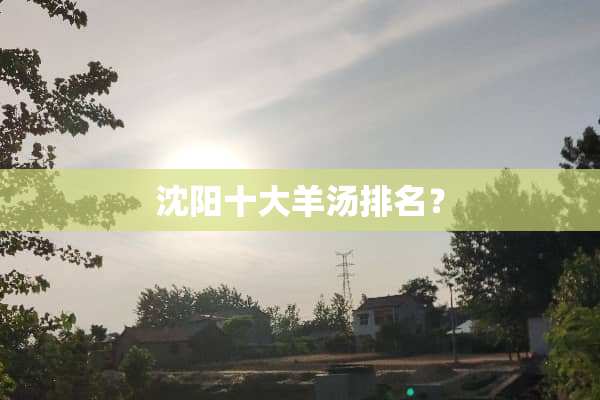 沈阳十大羊汤排名？