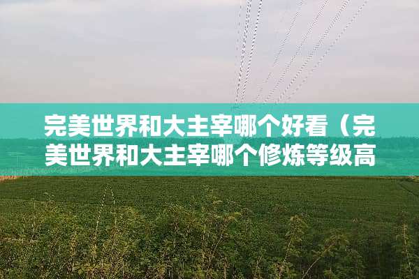 完美世界和大主宰哪个好看（完美世界和大主宰哪个**等级高）