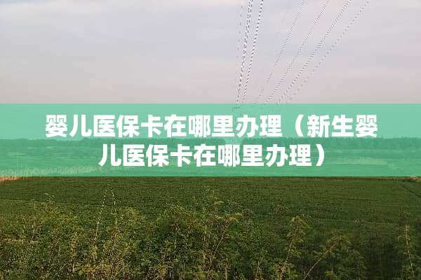 婴儿医保卡在哪里办理（新生婴儿医保卡在哪里办理）