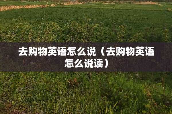 去购物英语怎么说（去购物英语怎么说读）