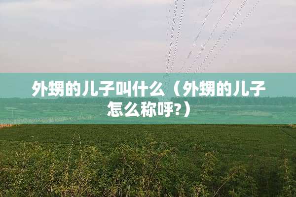 外甥的儿子叫什么（外甥的儿子怎么称呼?）