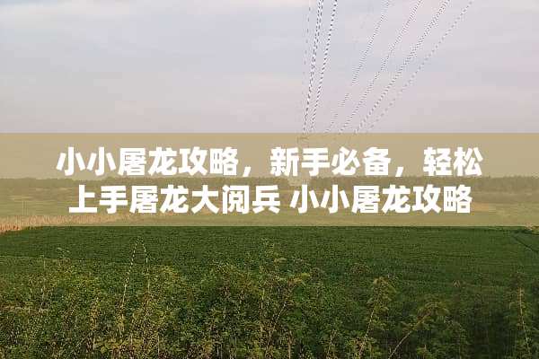 小小屠龙攻略，新手必备，轻松上手屠龙大阅兵 小小屠龙攻略
