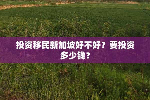 投资移民新加坡好不好？要投资多少钱？