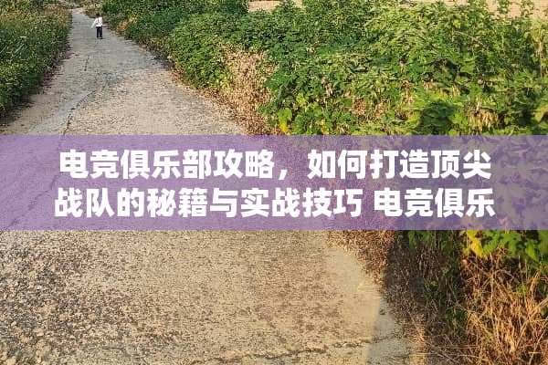 电竞俱乐部攻略，如何打造顶尖战队的秘籍与实战技巧 电竞俱乐部攻略