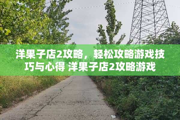 洋果子店2攻略，轻松攻略游戏技巧与心得 洋果子店2攻略游戏