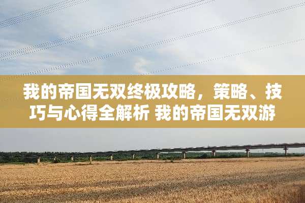 我的帝国无双终极攻略，策略、技巧与心得全解析 我的帝国无双游戏攻略