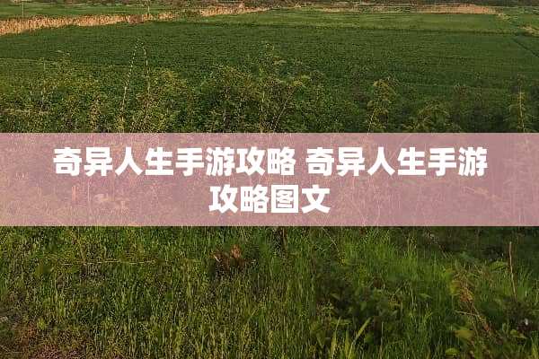 奇异人生手游攻略 奇异人生手游攻略图文