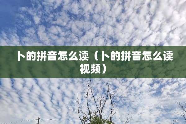 卜的拼音怎么读（卜的拼音怎么读视频）