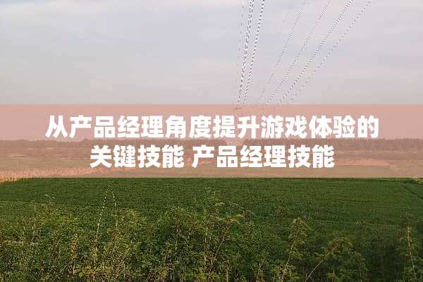 从产品经理角度提升游戏体验的关键技能 产品经理技能