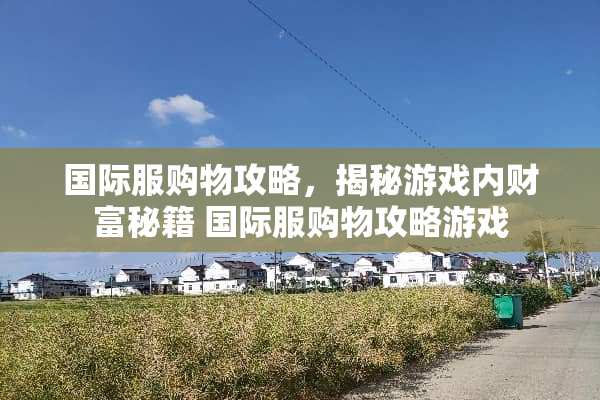 国际服购物攻略，揭秘游戏内财富秘籍 国际服购物攻略游戏