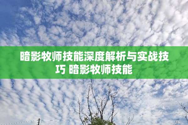 暗影牧师技能深度解析与实战技巧 暗影牧师技能