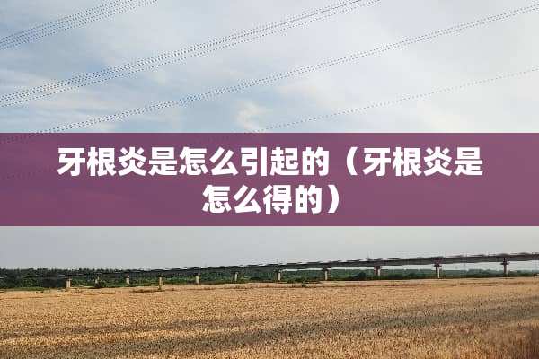 牙根炎是怎么引起的（牙根炎是怎么得的）
