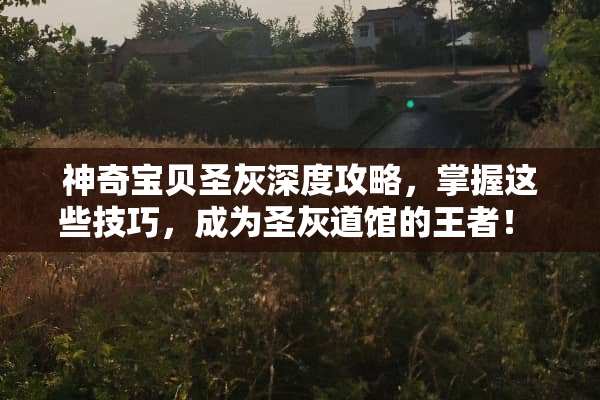 神奇宝贝圣灰深度攻略，掌握这些技巧，成为圣灰道馆的王者！ 神奇宝贝圣灰攻略