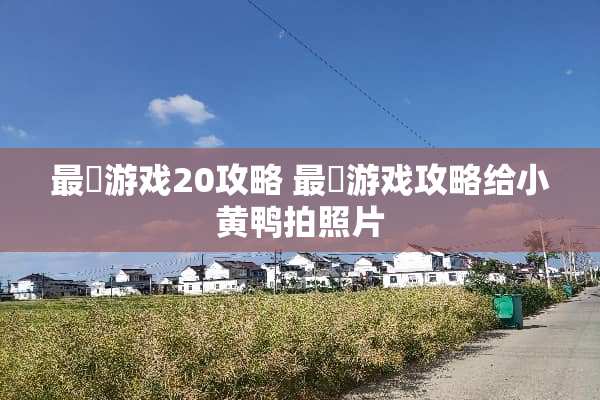 最囧游戏20攻略 最囧游戏攻略给小黄鸭拍照片