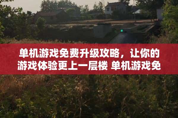 单机游戏免费升级攻略，让你的游戏体验更上一层楼 单机游戏免费升级攻略